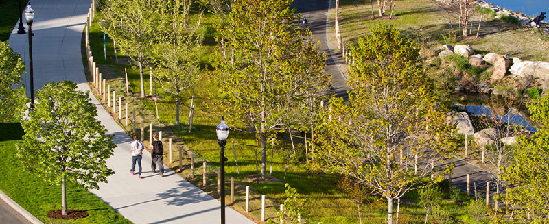 Tree Buffer and Seasonal Planting to Entrance
